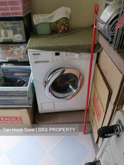 Blk 160 Pasir Ris Street 13 (Pasir Ris), HDB Executive #288870181
